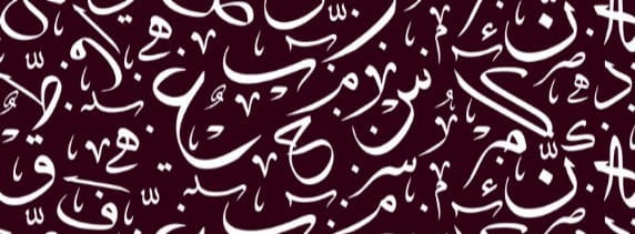 تساؤلات في اليوم العربي للغة العربية